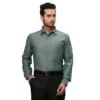 Raymond Men's Solid Slim Fit Shirt (RMSX12120-N4_Medium Green 42)