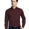 Symbol Premium Men's Wrinkle-Resistant Regular Fit Cotton Formal Shirt (SS23-SMP-FS-01_Maroon_39)