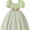 TAGAS Girls Frock - Net Standard Length Dress (KD-397) Pista_7-8Y